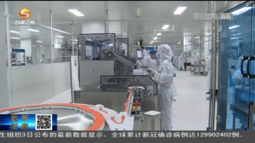甘肅造新冠疫苗首批投產下線 技術突破助力抗疫新篇章